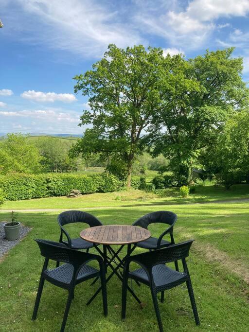 Beautiful Garden Cottage, Close To Llandeilo. Hoel-galed 外观 照片